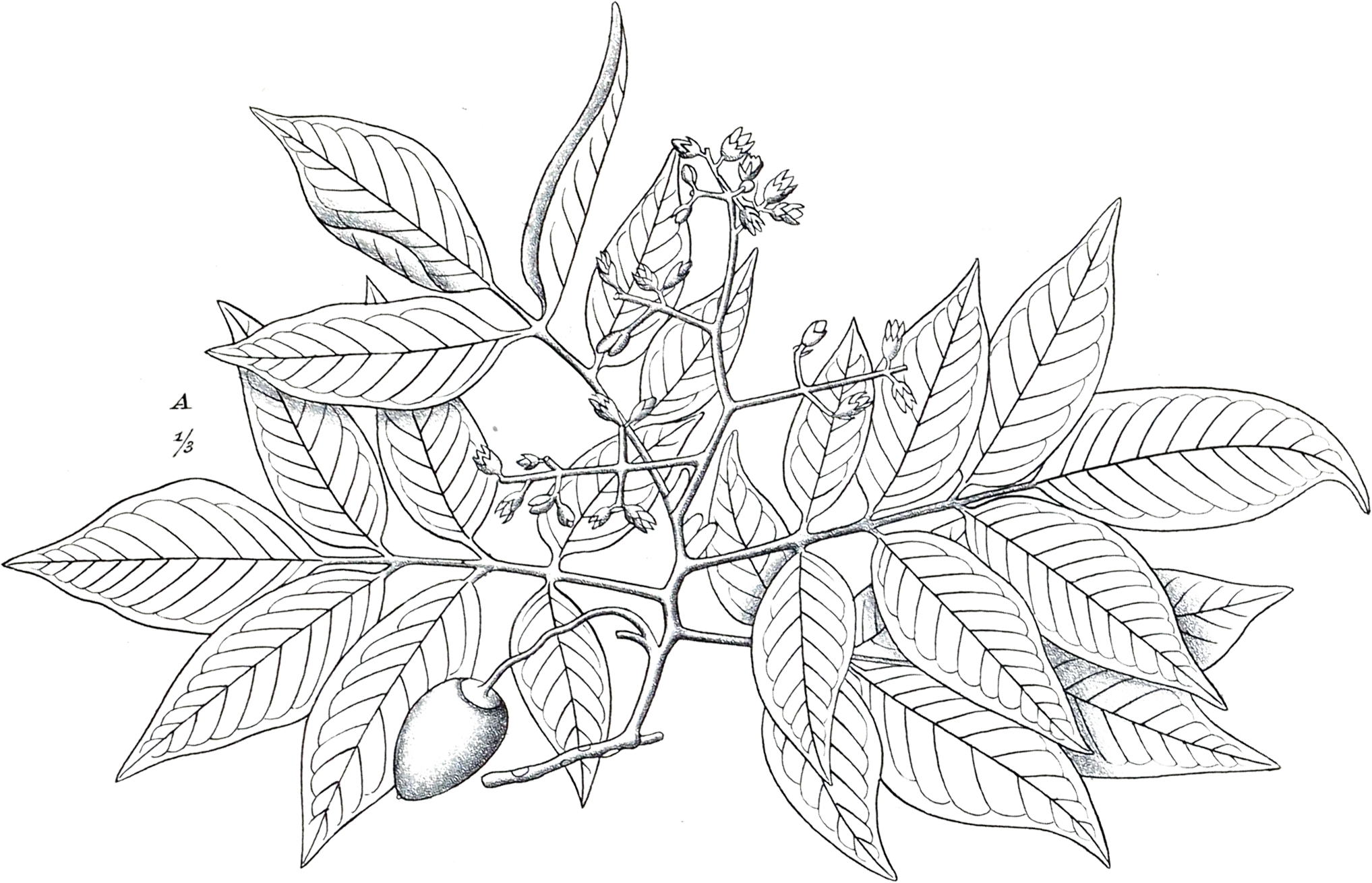 Test Post with a Longer Title to See What it Looks Like